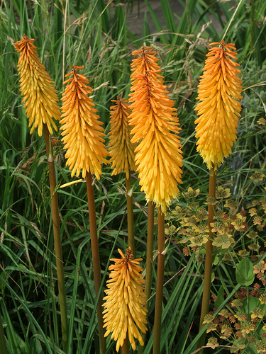 u.GLADNESS u.GLADNESS